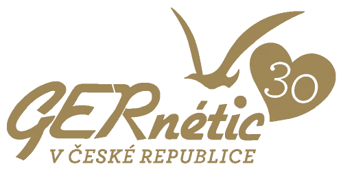 Logo GERnétic